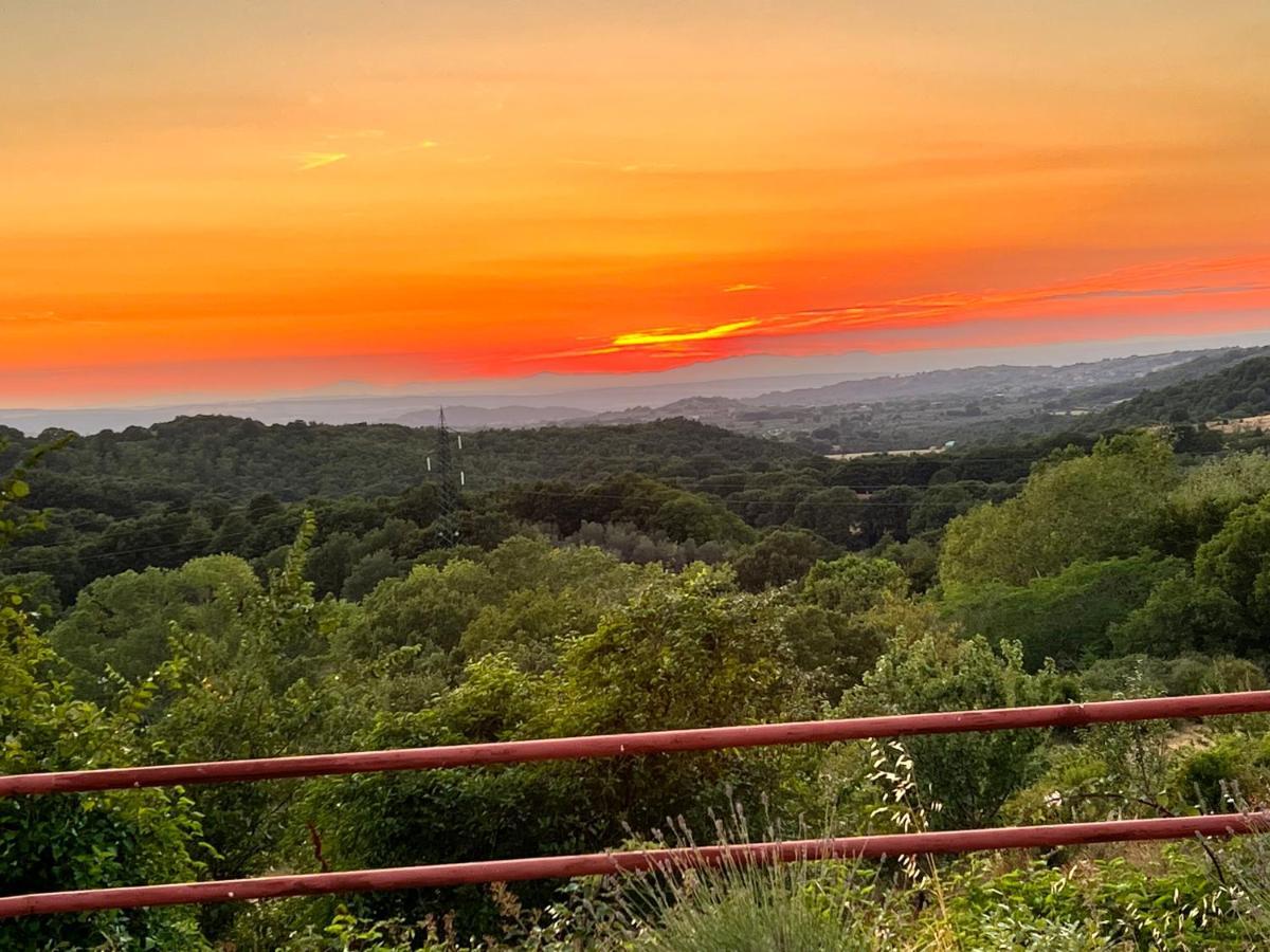 B&B Il Tramonto Barbarano Romano Exteriör bild